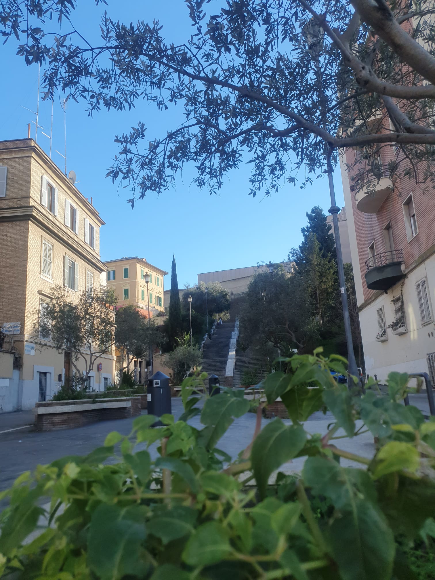 Home Rome Vaticano